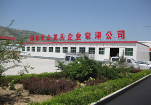 工厂实景1