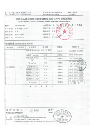 2019版检验报告3